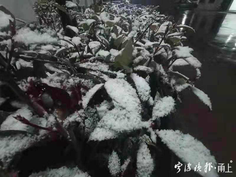 2021年第一场雪!雪景图来了