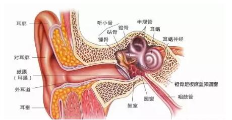 小儿中耳炎是儿童常见病!保定民众耳鼻喉医院教您如何