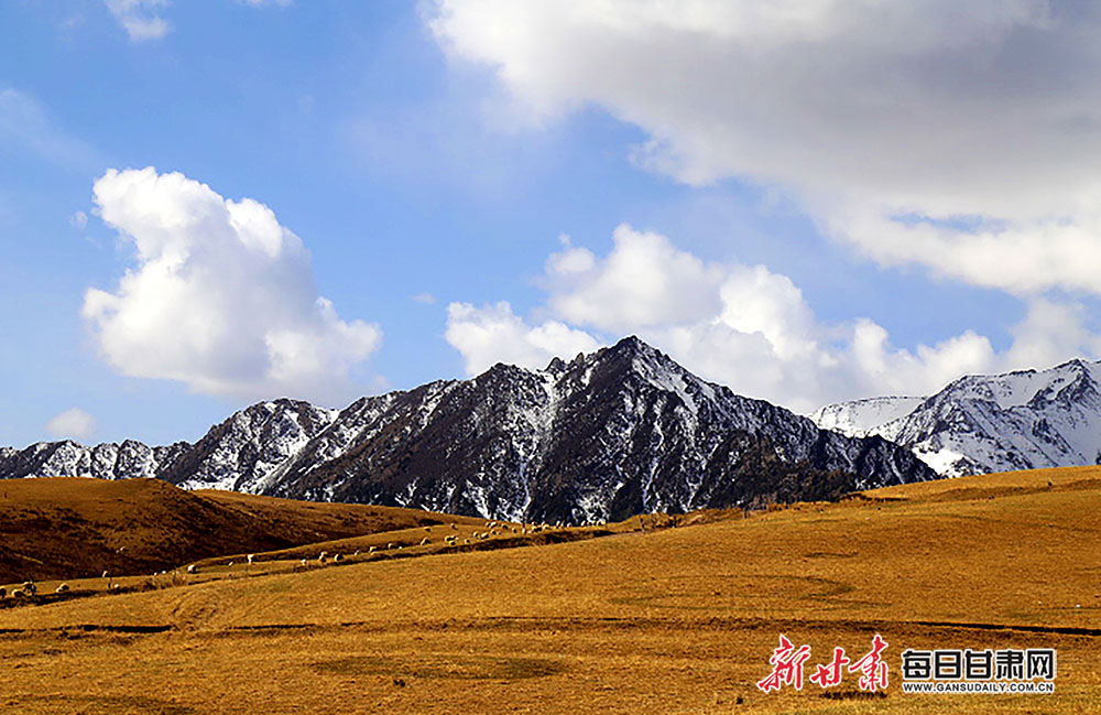 【镜观陇原】冬日,肃南县香沟景区牧歌悠扬 冬日时节,位于祁连山腹地