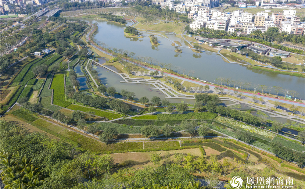 凤翔湿地公园内流经的河流叫做美舍河,是一条纵贯海口南北的一条主要