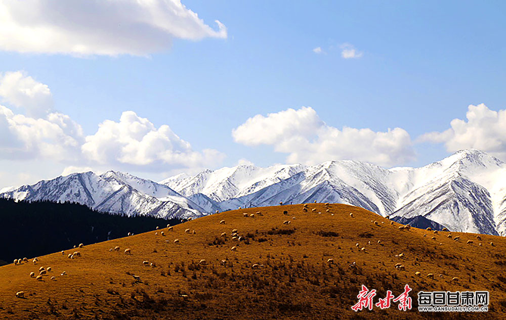 【镜观陇原】冬日,肃南县香沟景区牧歌悠扬 冬日时节,位于祁连山腹地