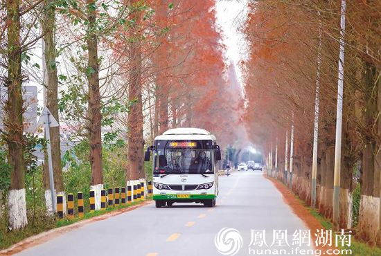 各条线路的公交车在乡间"飞纱走线,织出一幅高速发展的交通画卷.