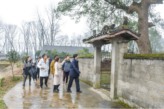 好消息桃花源白鳞洲获评湖南省五星级乡村旅游点