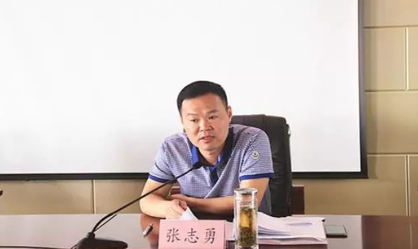 市纪检监察部门和公安机关的直接领导下,在颍上县抓获以张志勇,张志斌