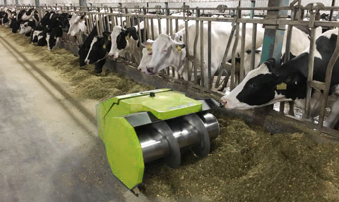 悄悄发生的中国养牛革命智能项圈让牛精准繁殖ai预测发情期