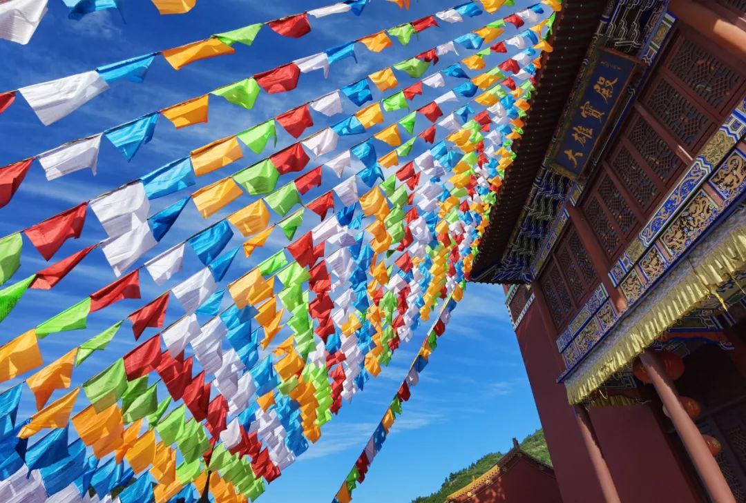 挂祈福经幡寺院将在院内4棵云杉树,2棵银杏树上悬挂祈福彩灯,供灯者