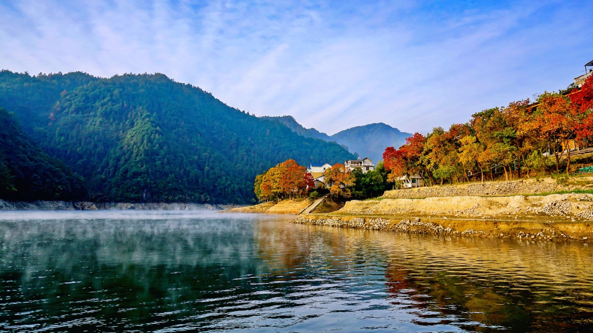 浙江开化植树拜年40年不间断钱江源头绘出红绿交融春景图