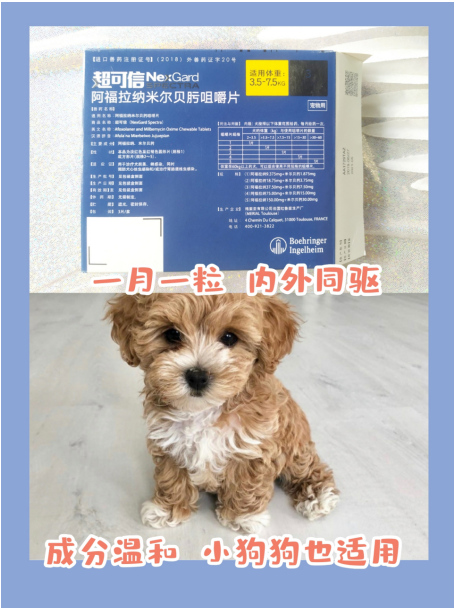 不是吧 宠物驱虫你还不知道超可信