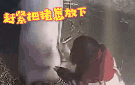 母猪生下小猪后在猪棚休息女子进棚查看被猪妈吓得拔腿就跑