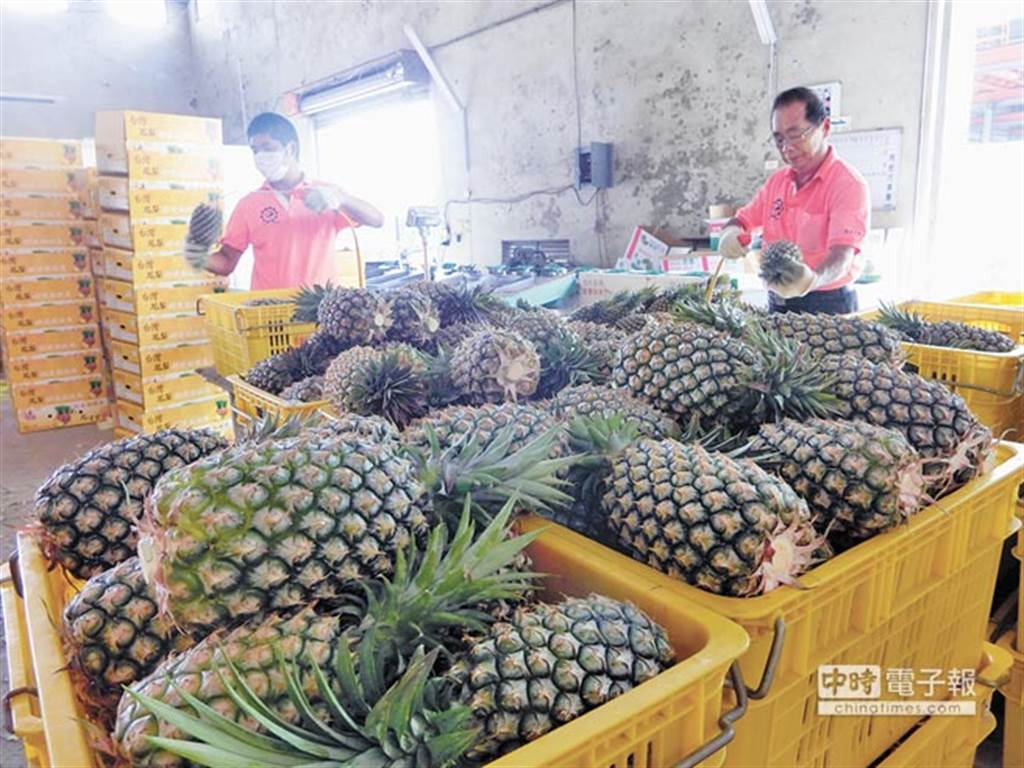 台媒:台湾凤梨"登陆"受阻,"芒果农","芭乐农"开始担忧