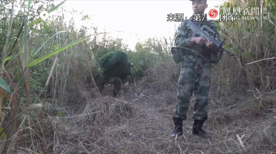 丛林渗透直击侦察兵敌后武装破袭演练