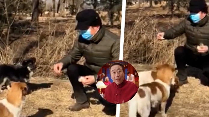 冯巩爱心投喂流浪狗夸赞狗狗懂谦让感慨自己小时候只能吃窝头