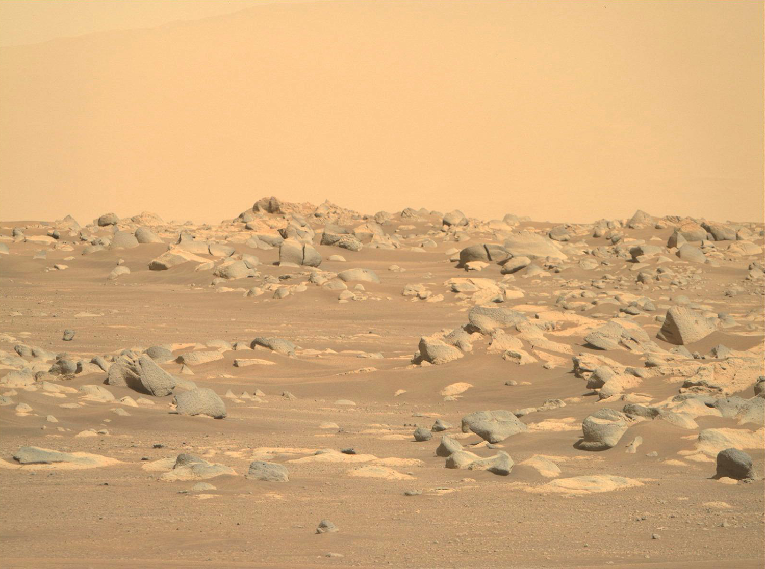 毅力号传回6千余张高清照火星上看太阳是啥样