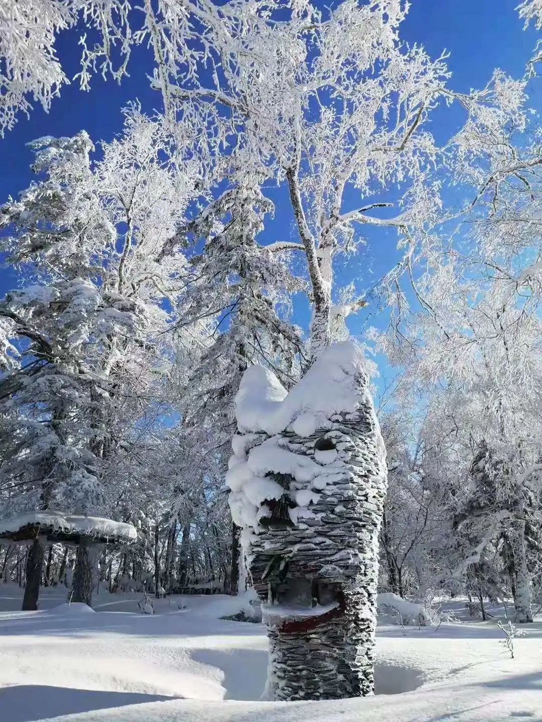 春季到雪乡来看雪