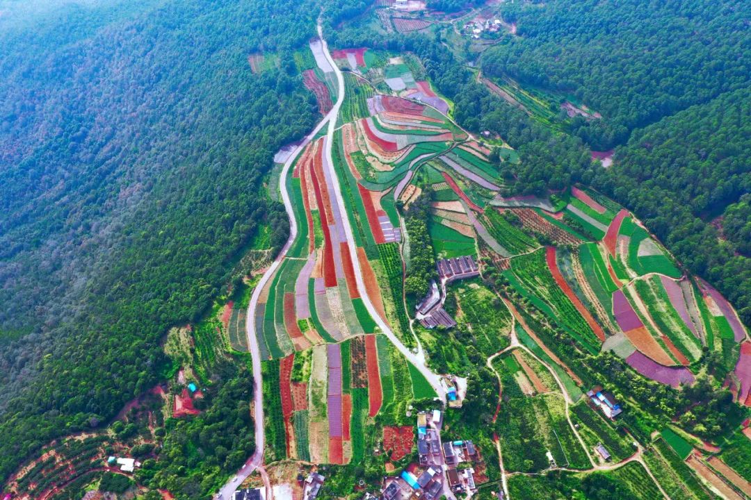 中国的“阳光城”，竟然在云南？（最新发布）