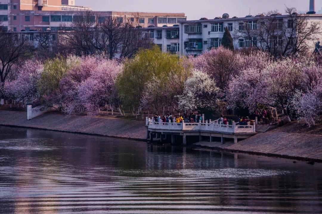 文旅 正文 桃花堤,南依北运河,东至北洋桥,西至千里堤.