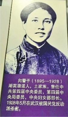 "复兴之路"上展出向警予照片,她于1928年5月在武汉被国民党反动派杀害