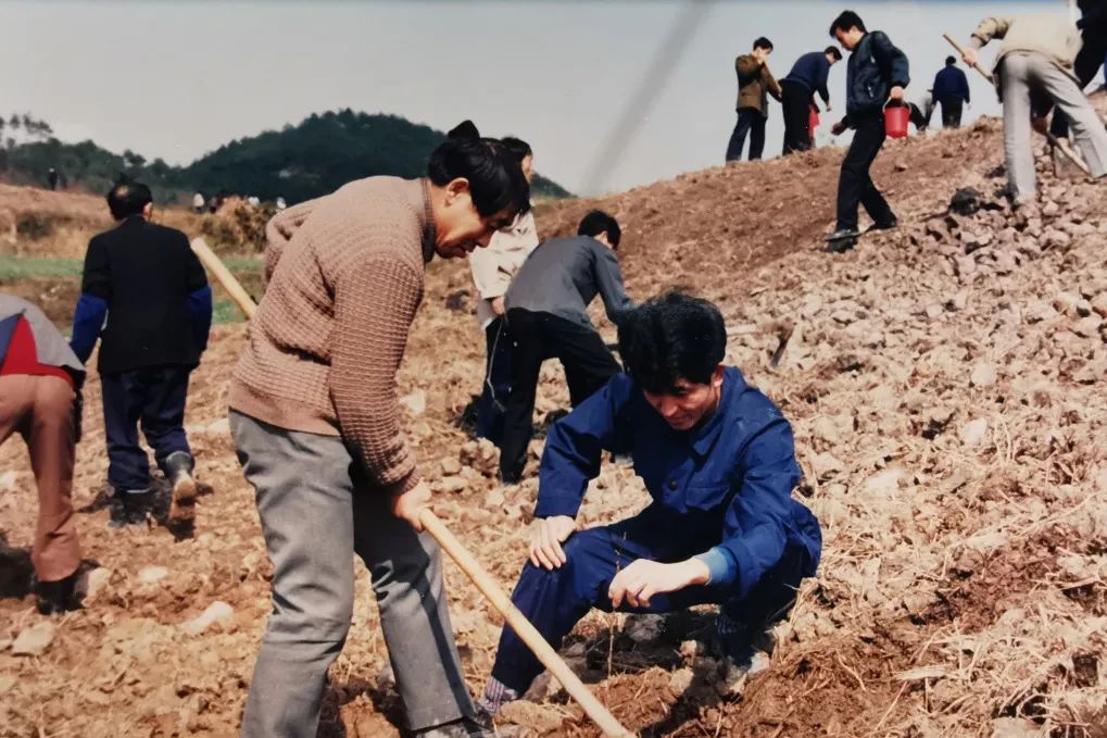 陈开超以场为家四明山上的绿梦人