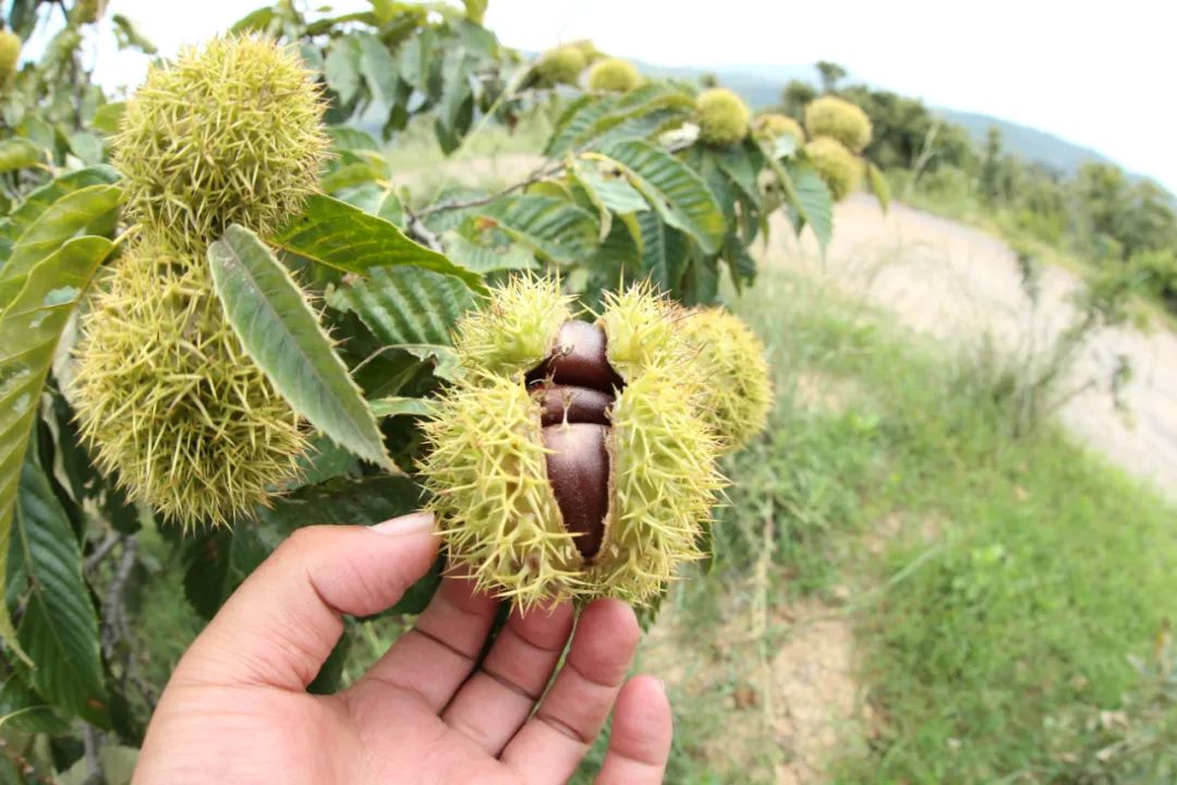 中国的“阳光城”，竟然在云南？（最新发布）