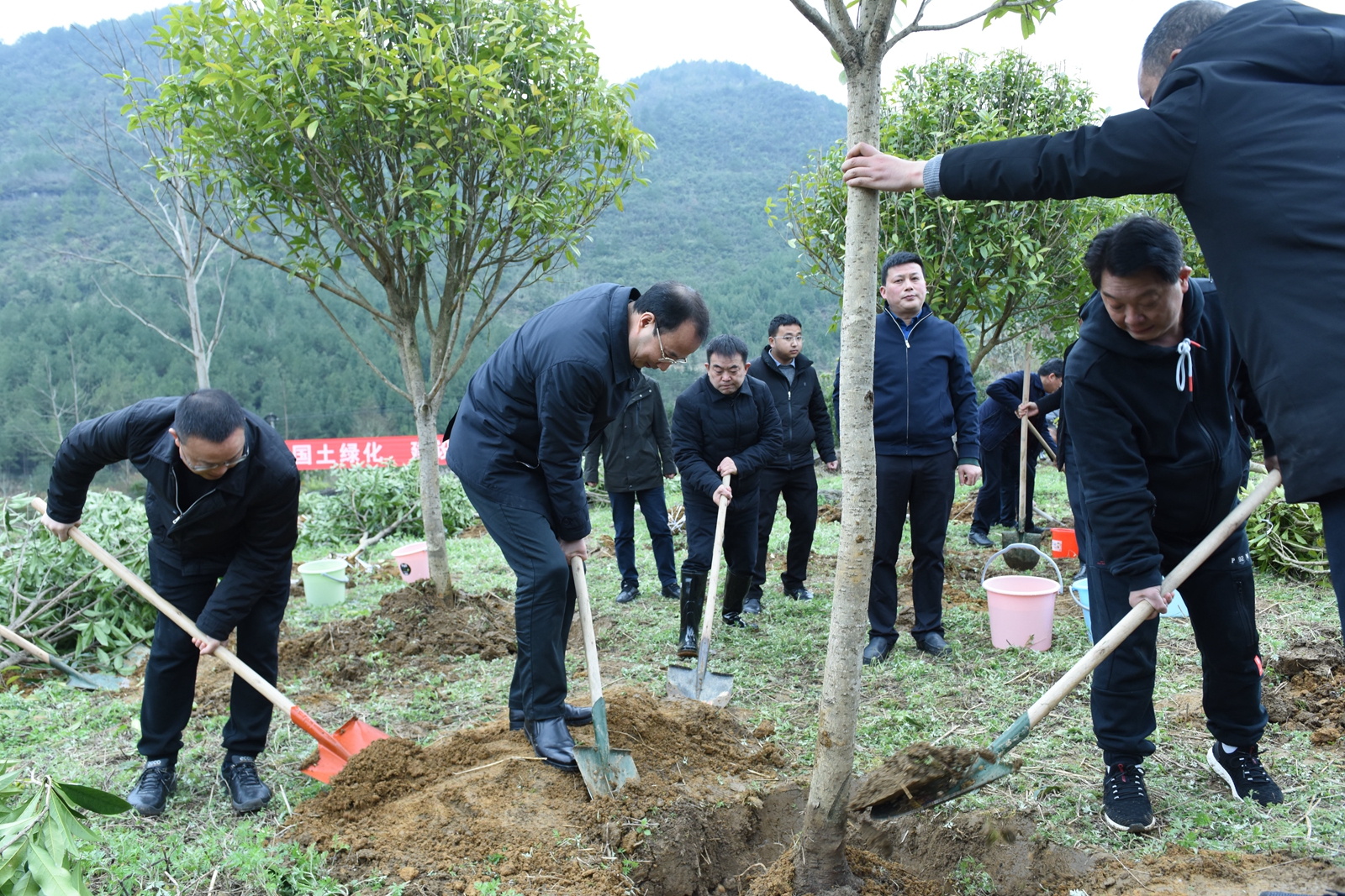 3月12日正值植树节,酉阳县委书记陈文森,县委副书记,县长李成群,县