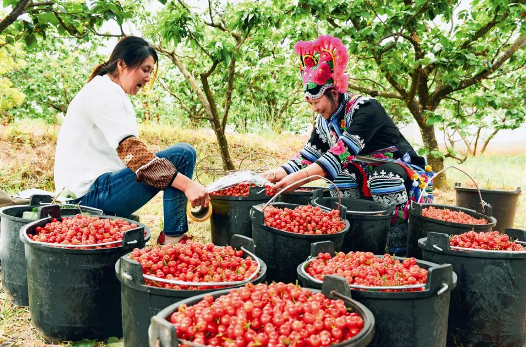 中国的“阳光城”，竟然在云南？（最新发布）