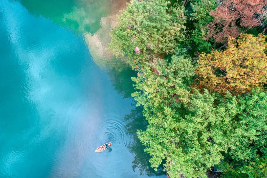 浙南最不容错过的自驾线路,包揽世界级山海景观,还