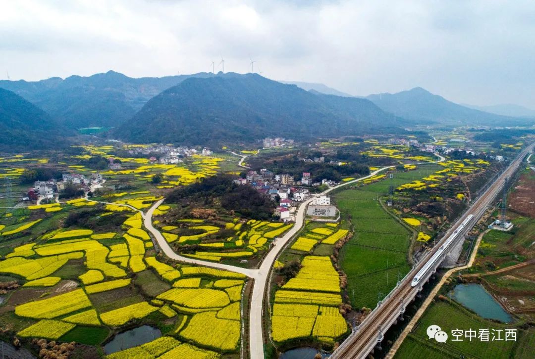 航拍江西湖口诗画田园春景 美丽乡村入目来