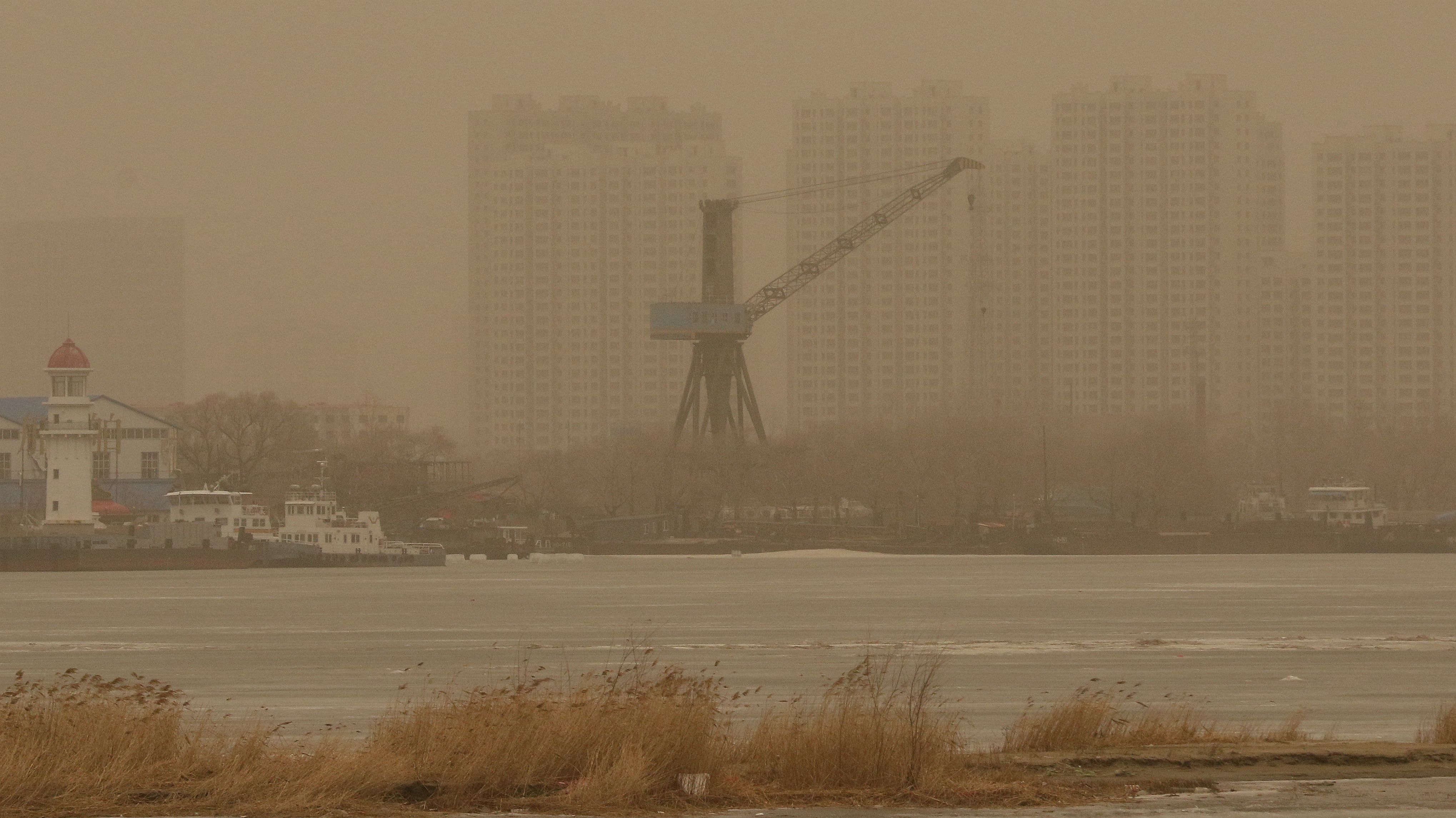 扬沙 浮尘 黑龙江多地出现污染天气