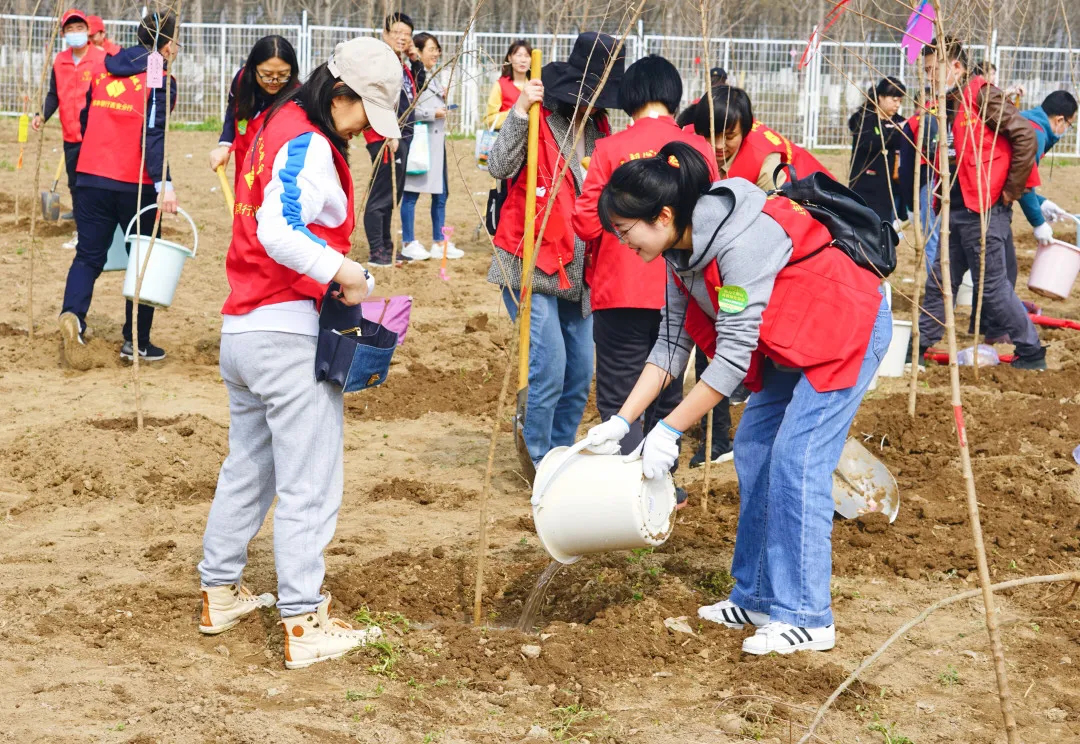 恒丰银行西安分行开展植树节志愿服务活动