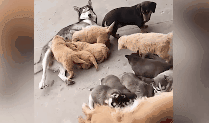 209_123gif 动态图 动图