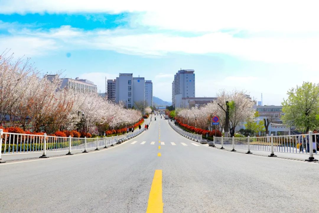 河南科技大学