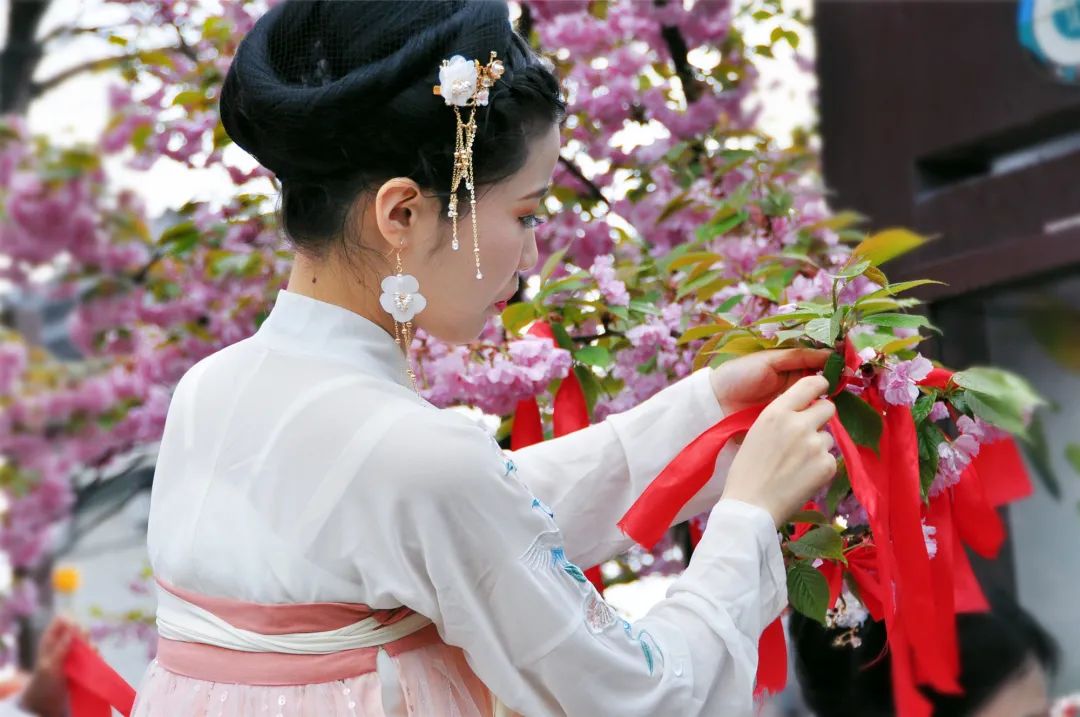 汉城湖·花朝节 佳节已至,邂逅群芳,共赴花朝盛宴