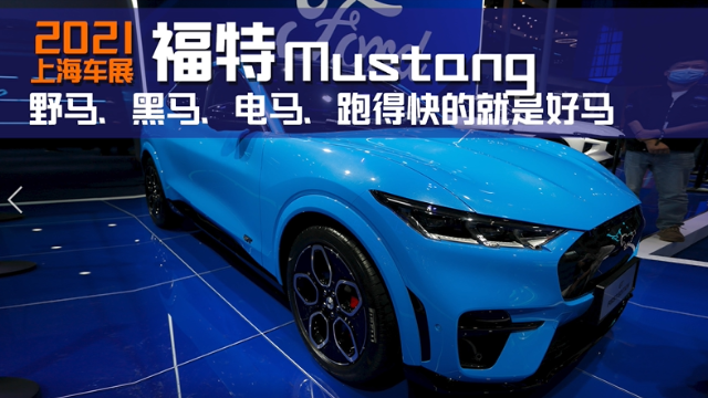 福特mustangmache野马黑马电马跑得快就是好马