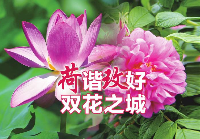 玫瑰增选为济南市花