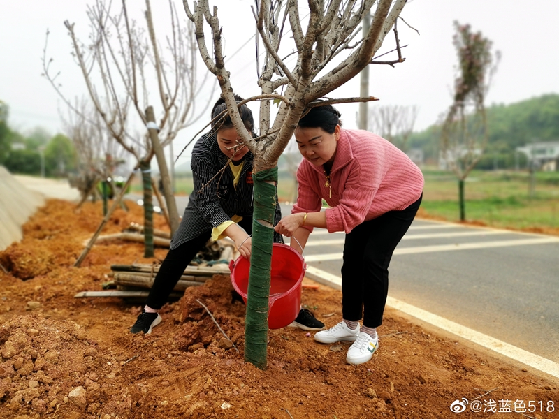 市民们参与劳动照片.图片来源:天心区文明办