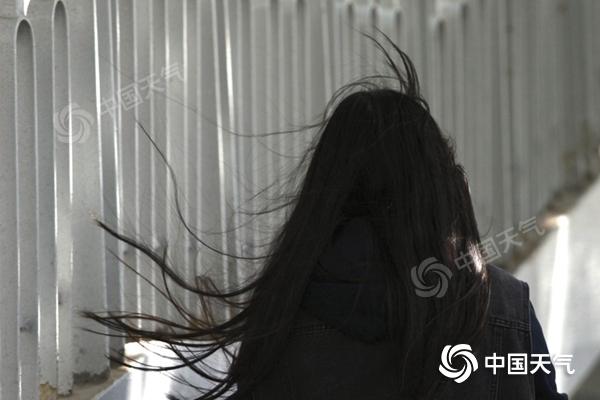 近日,北京北风"不下线",街头行人发型"凌乱".(图/中国天气网王晓)