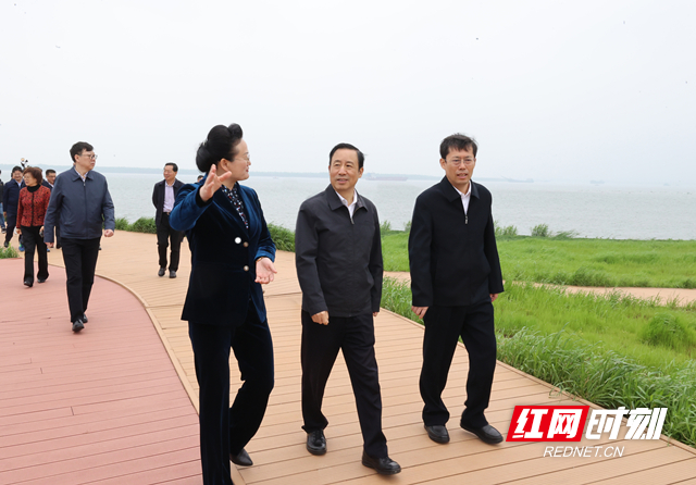湖南省委书记的足迹印刻着湖南的四月芳菲