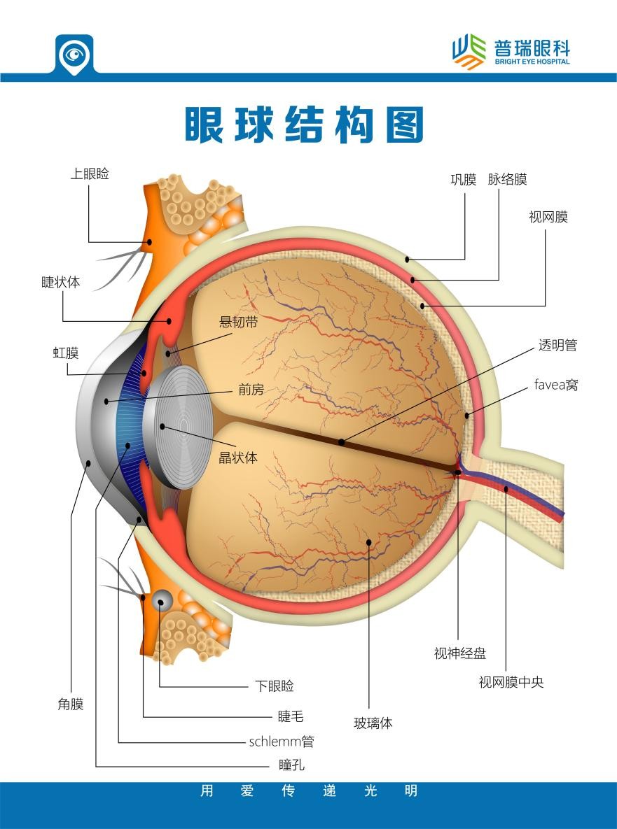 刘红山教授话题专访关注眼健康远离角膜病