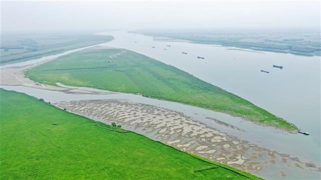 荆江率先在长江流域建成生态航道江豚等一级保护动物显著增加