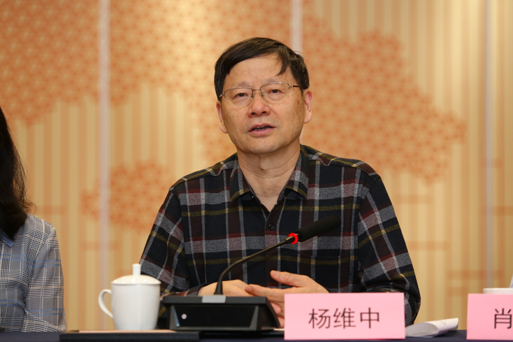 杨维中副会长发言