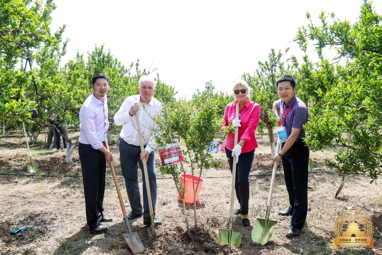 陕西>资讯>正文>临潼区委书记赵雷出席会议并致辞,中国西北国际医疗