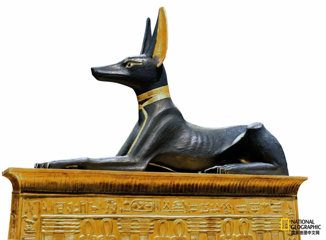 阿努比斯是木乃伊制作之神,也是迷失灵魂的守护神,早在埃及第一王朝
