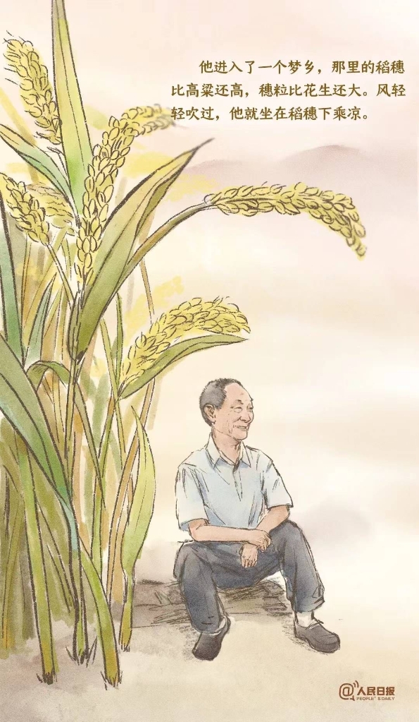 "袁隆平爷爷是'杂交水稻之父,应该用一片片稻花香来怀念他.
