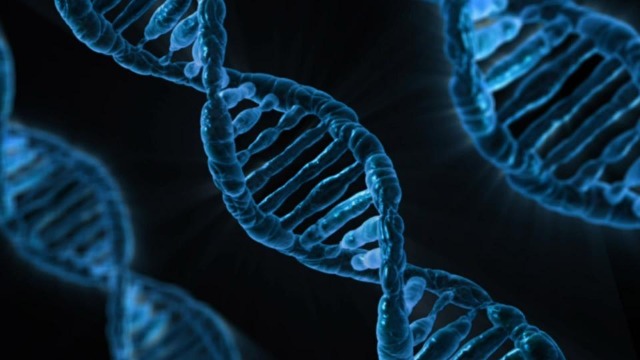 dna双螺旋结构解释了所有生物的遗传它也是结构生物学伟大的科学成就