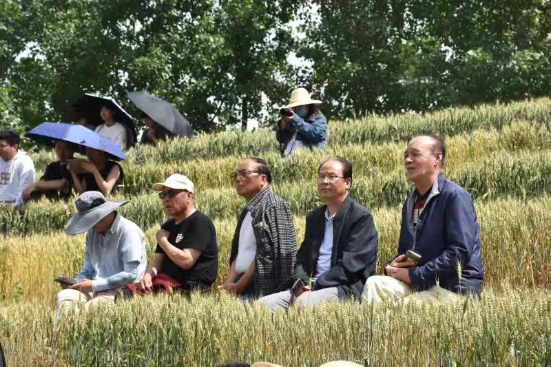 终南戏剧节——美妙的乡村田园合奏在滚滚麦浪的的田园间,音乐家将伴