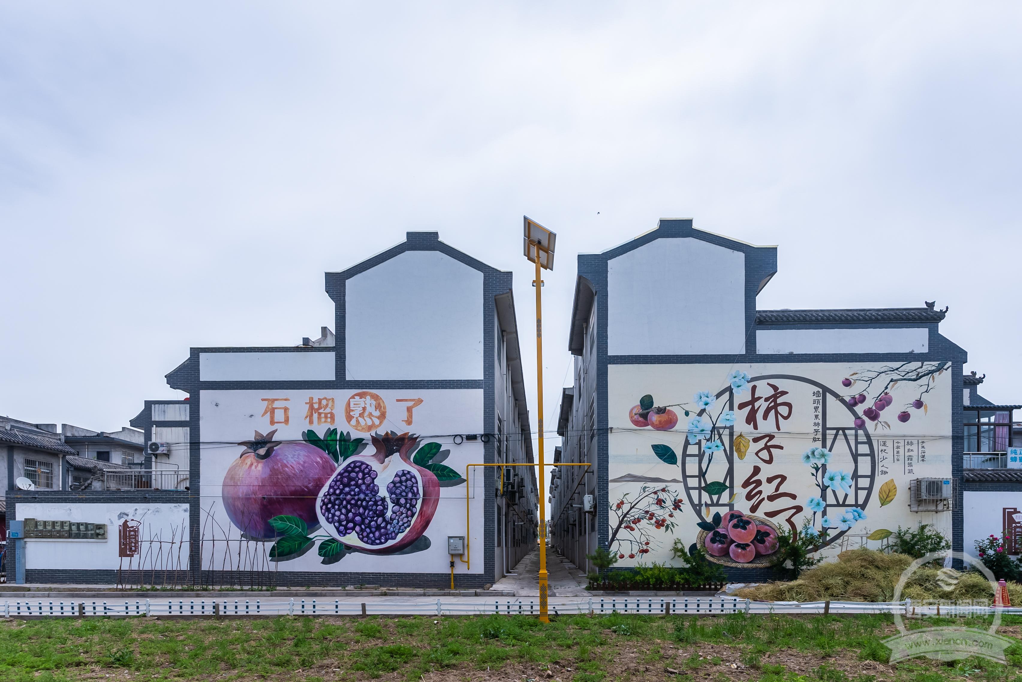 美丽乡村建设"加持 临潼区山任村民宿业初成规模