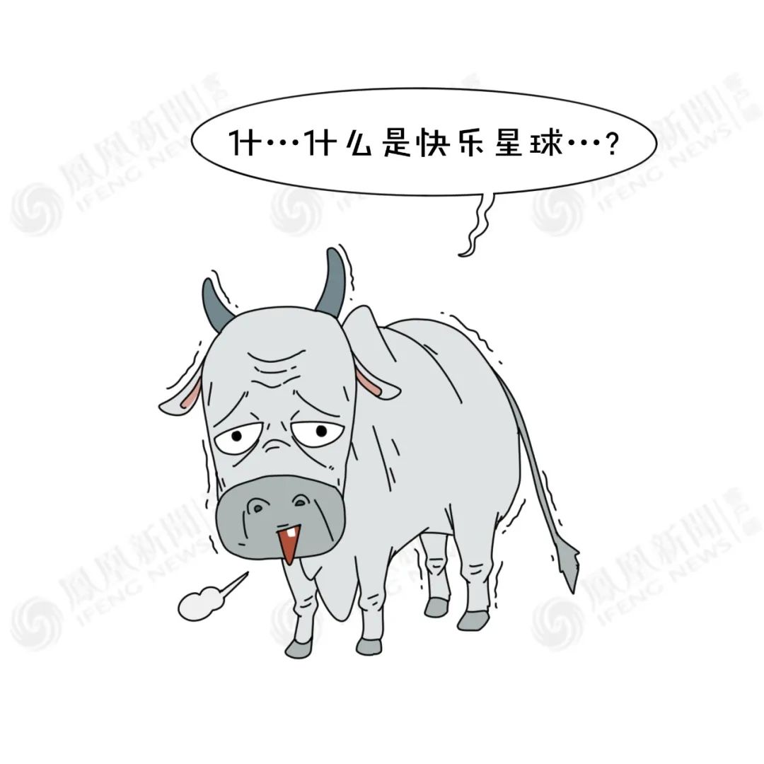 不吹不黑,讲讲印度人为什么喝牛尿|大鱼漫画