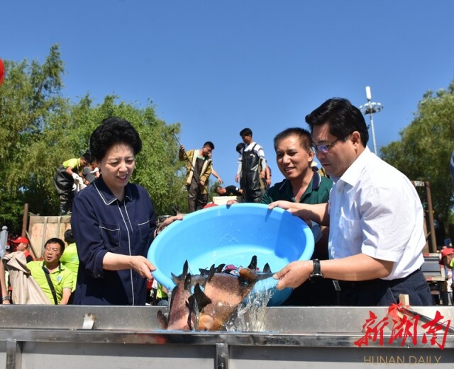 湖南日报·新湖南客户端记者 贺威 摄