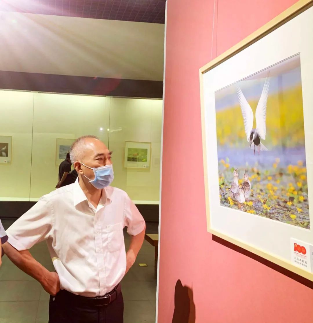 衢州市博物馆重新开馆暨《红色根脉 辉耀三衢—馆藏革命文物展》