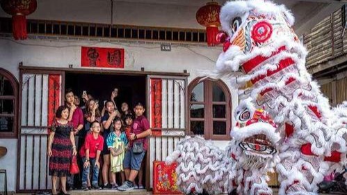 马来西亚新山华人在过年期间会举办盛大的游神活动